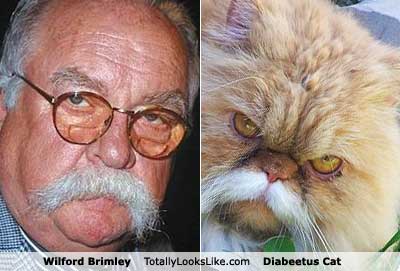 6wilfordbrimley-1.jpg