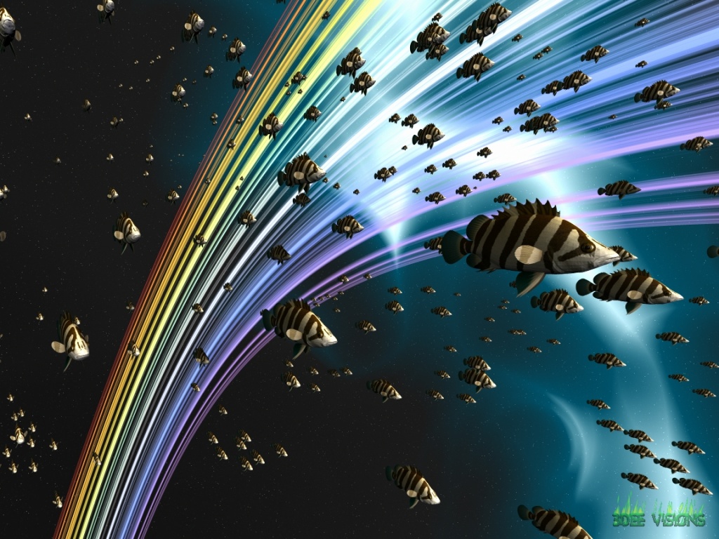 Fish_Space_1024x76830079-1.jpeg