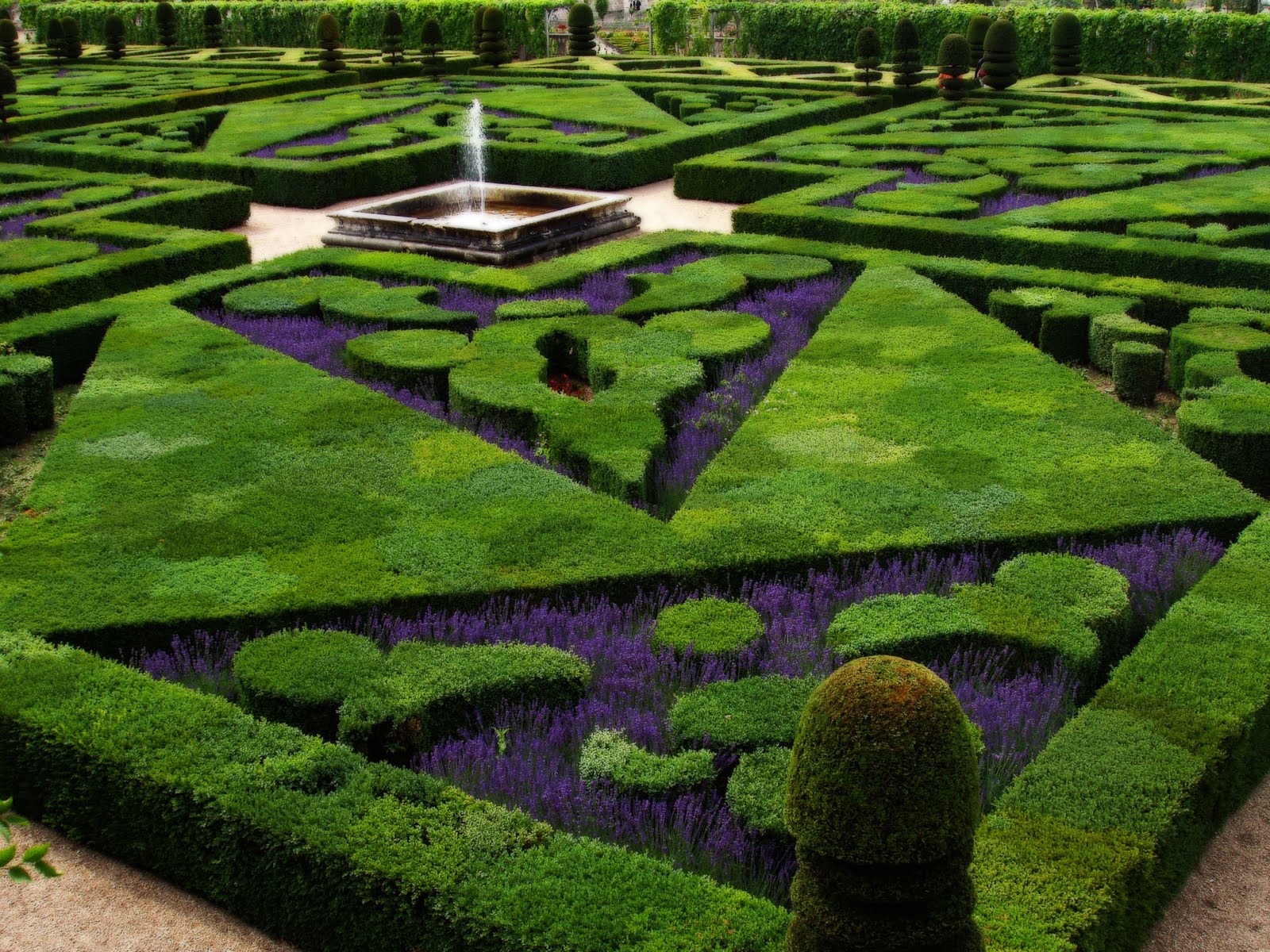 French_Formal_Garden_in_Loire_ValleywwwT-1.jpg