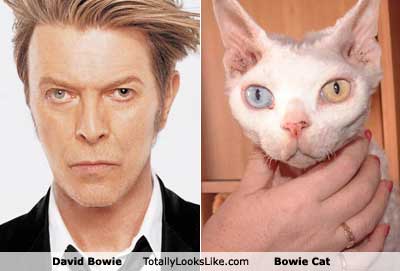 davidbowie4-1.jpg