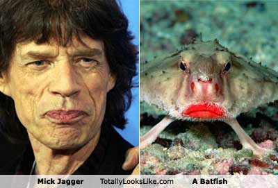 mickjagger-1.jpg