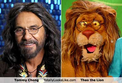 tommychong-1.jpg