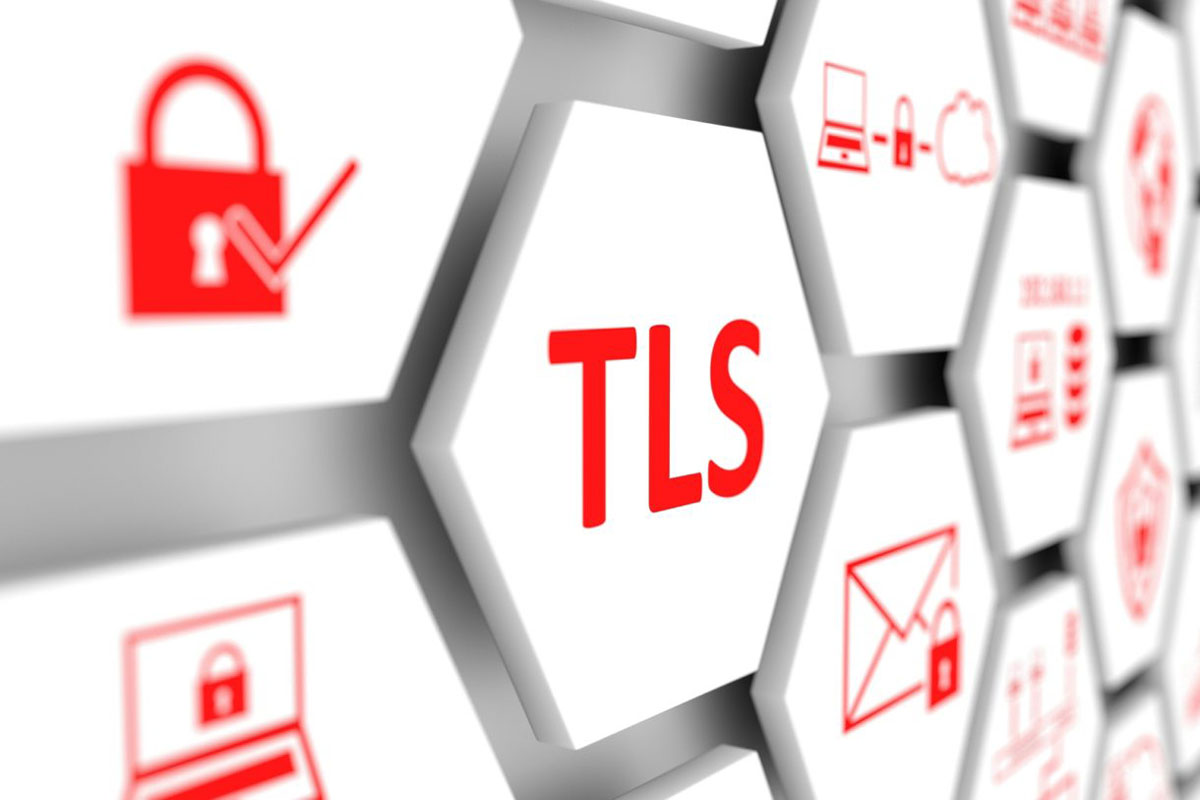 tls-01.jpg