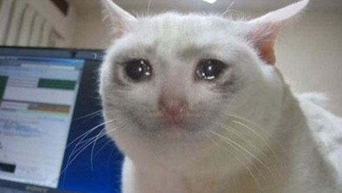 crying_cat.jpg