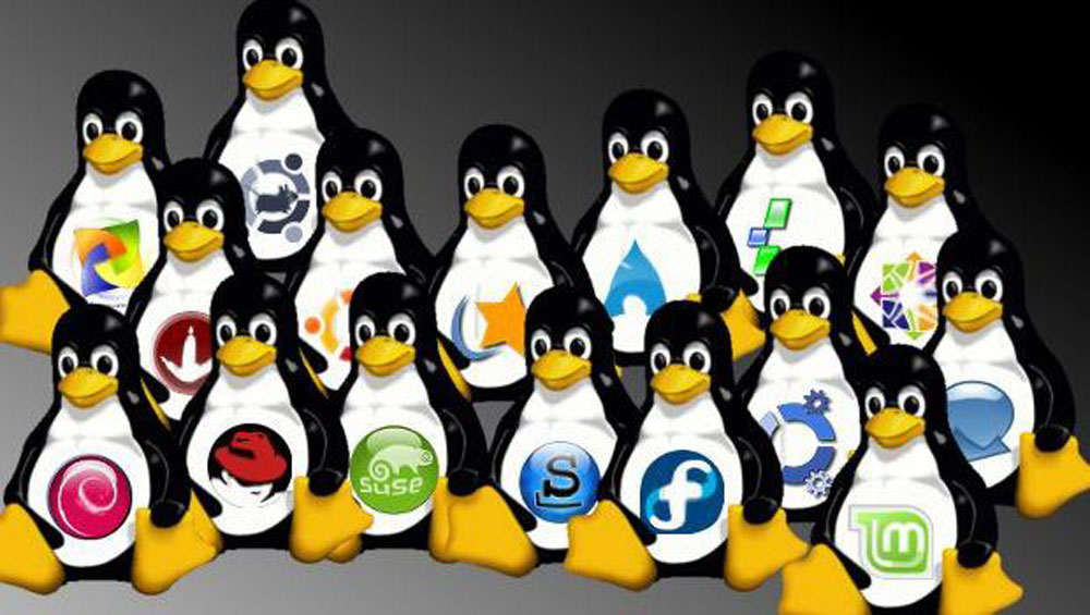linux_tux_distros.jpg